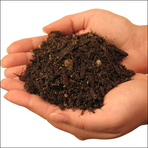 Почва как экологический фактор для растений.